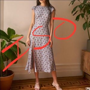 ISO reformation “Gavin” in petunia